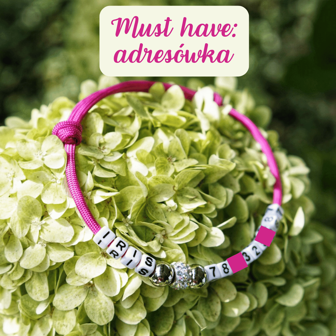 Obroża adresówka, psi identyfikator