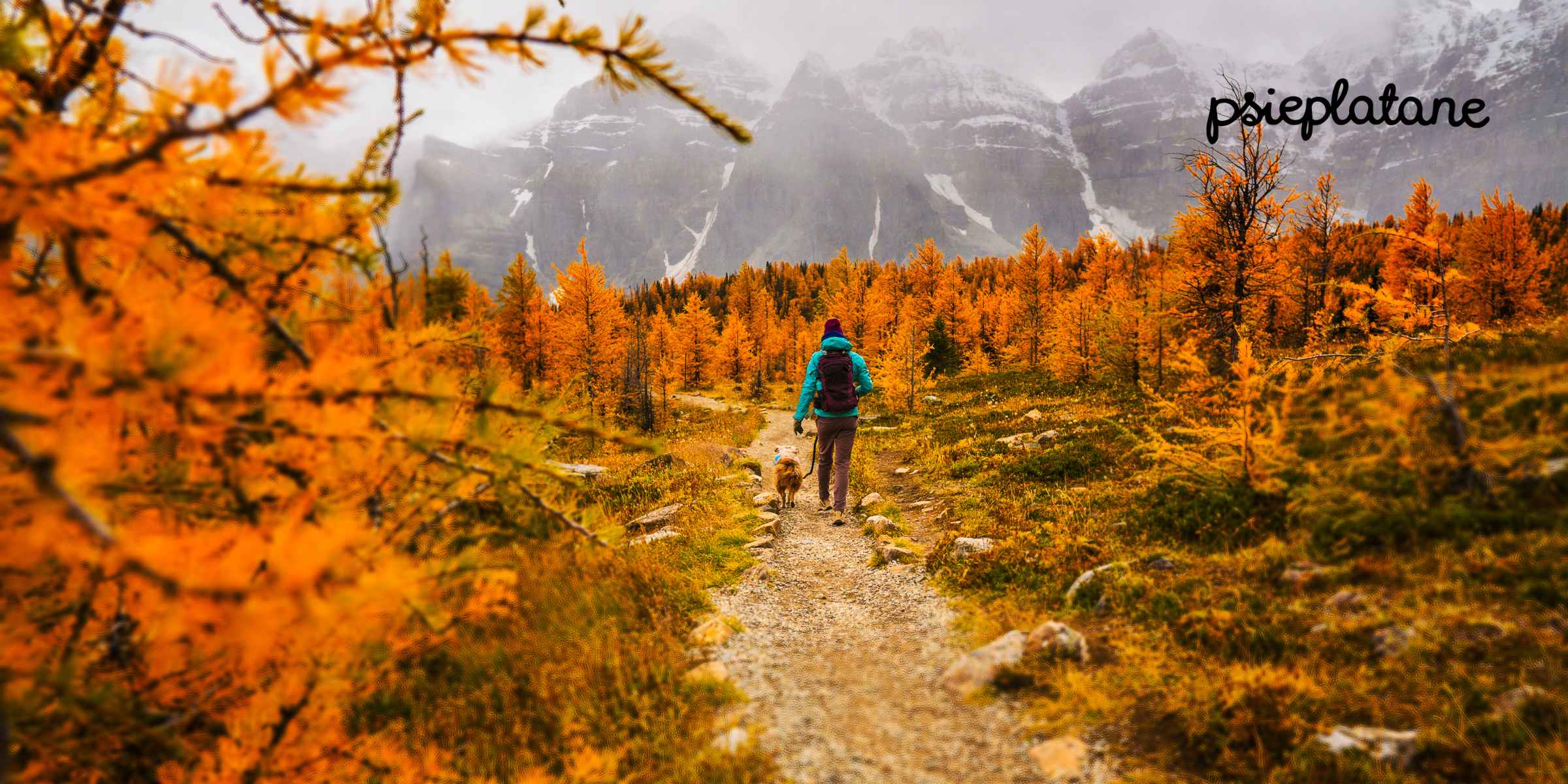 Jesienny spacer z psem w górach