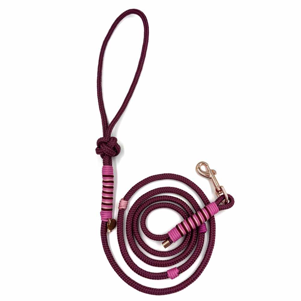 MINI smycz linowa Hot Ombre - smycz dla małego psa