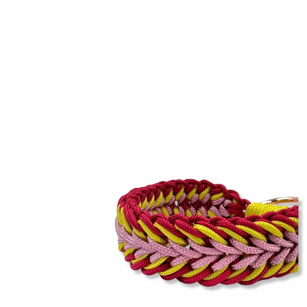 czerwono różowa obroża dla małego psa, np. maltańczyka