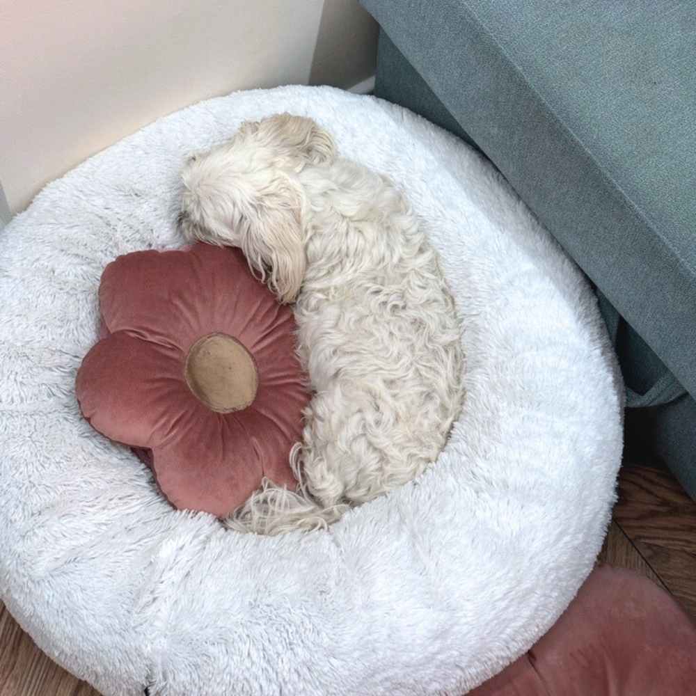 Poduszka kwiatek - obrazek 4