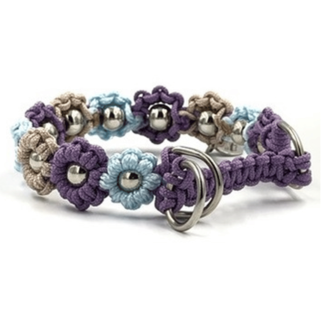 Obroża półzaciskowa dla małego psa