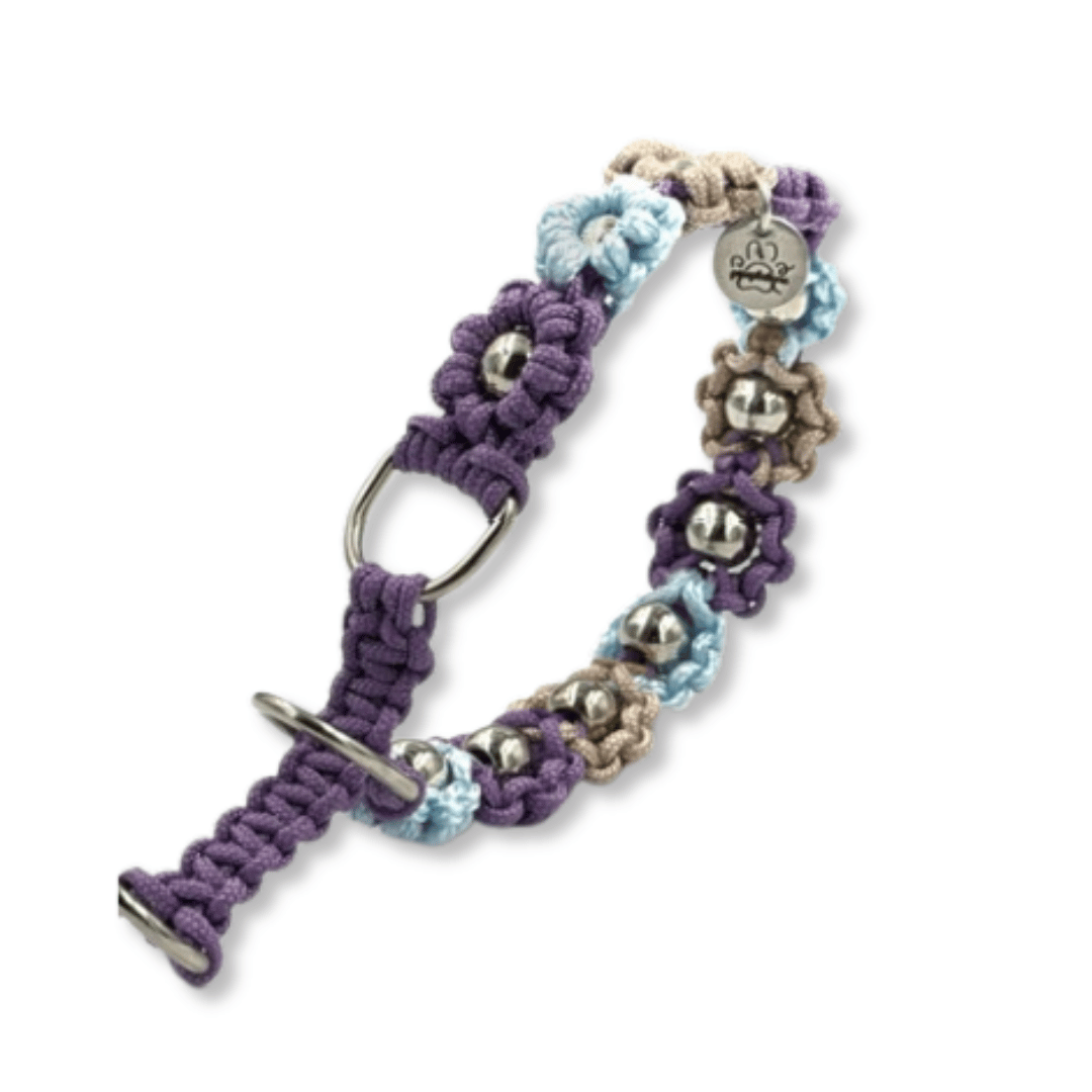 Błękitno fioletowa obroża dla małego psa