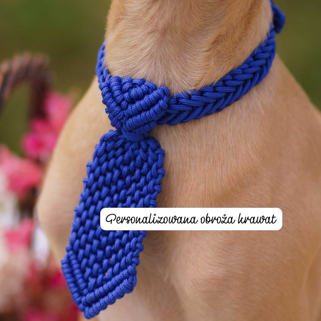 luksusowa obroża dla psa z ręcznie plecionym krawatem